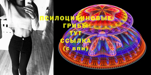 таблы Алзамай