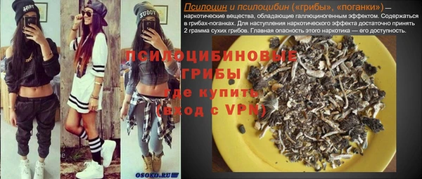 прущие грибы Заводоуковск