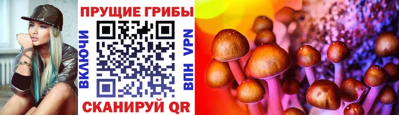 Псилоцибиновые грибы мицелий  мориарти какой сайт  Алушта 