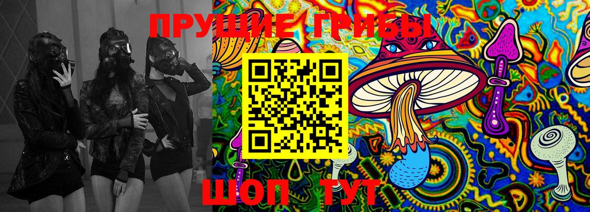 Галлюциногенные грибы MAGIC MUSHROOMS  Вход с VPN  наркота  Алушта 